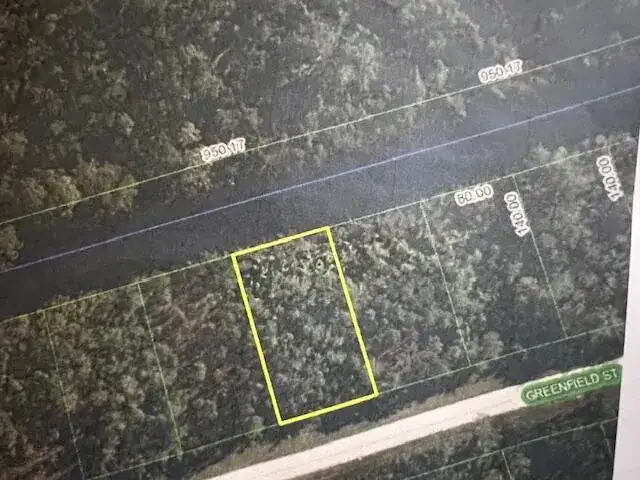 1123 Greenfield Street, Lake Placid FL 33852 photo 2