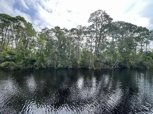 1123 Greenfield Street, Lake Placid FL 33852 photo 3