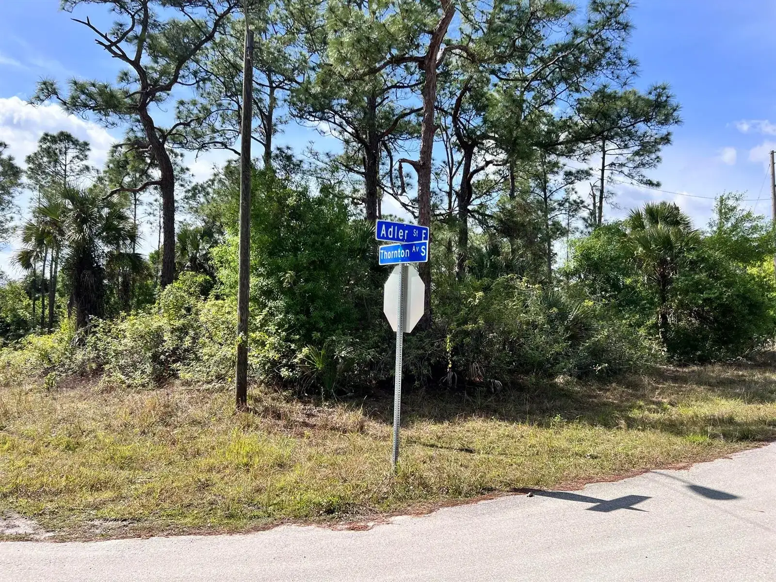 860 Adler Street E, Lehigh Acres FL 33974 photo 2