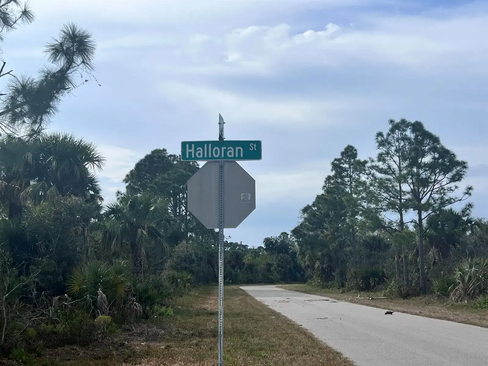 310 Halloran Street, Port Charlotte FL 33953 photo 2