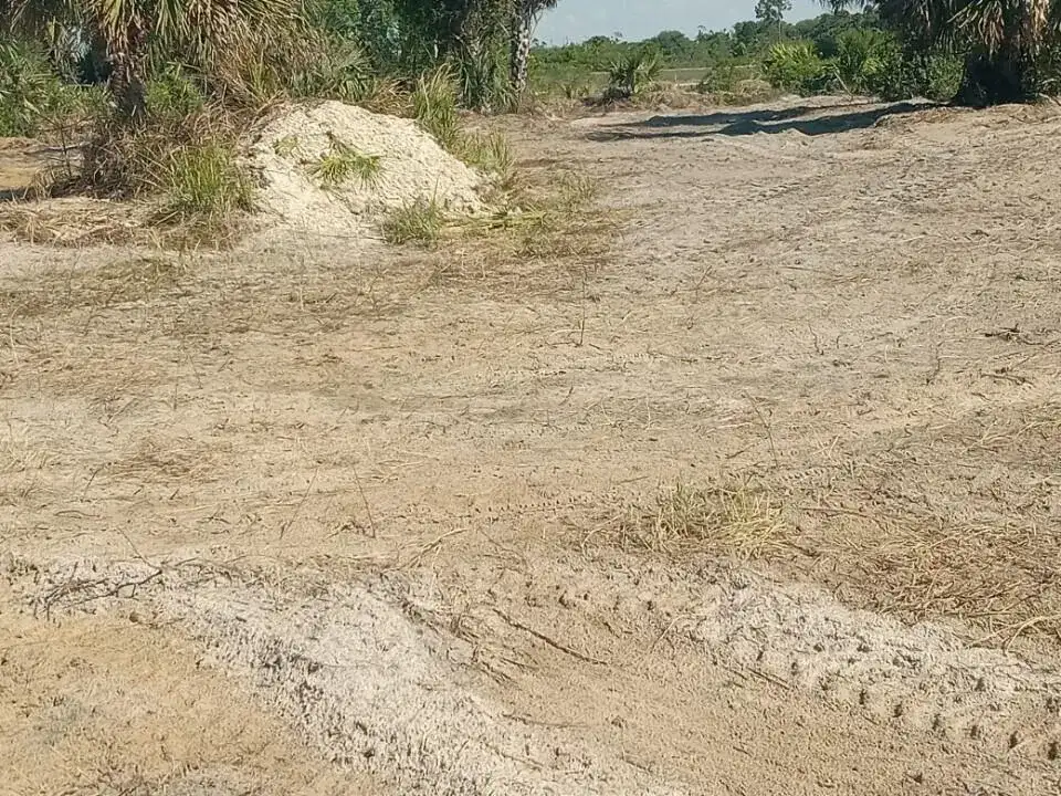 16058 NW 290th Street, Okeechobee FL 34972 photo 3