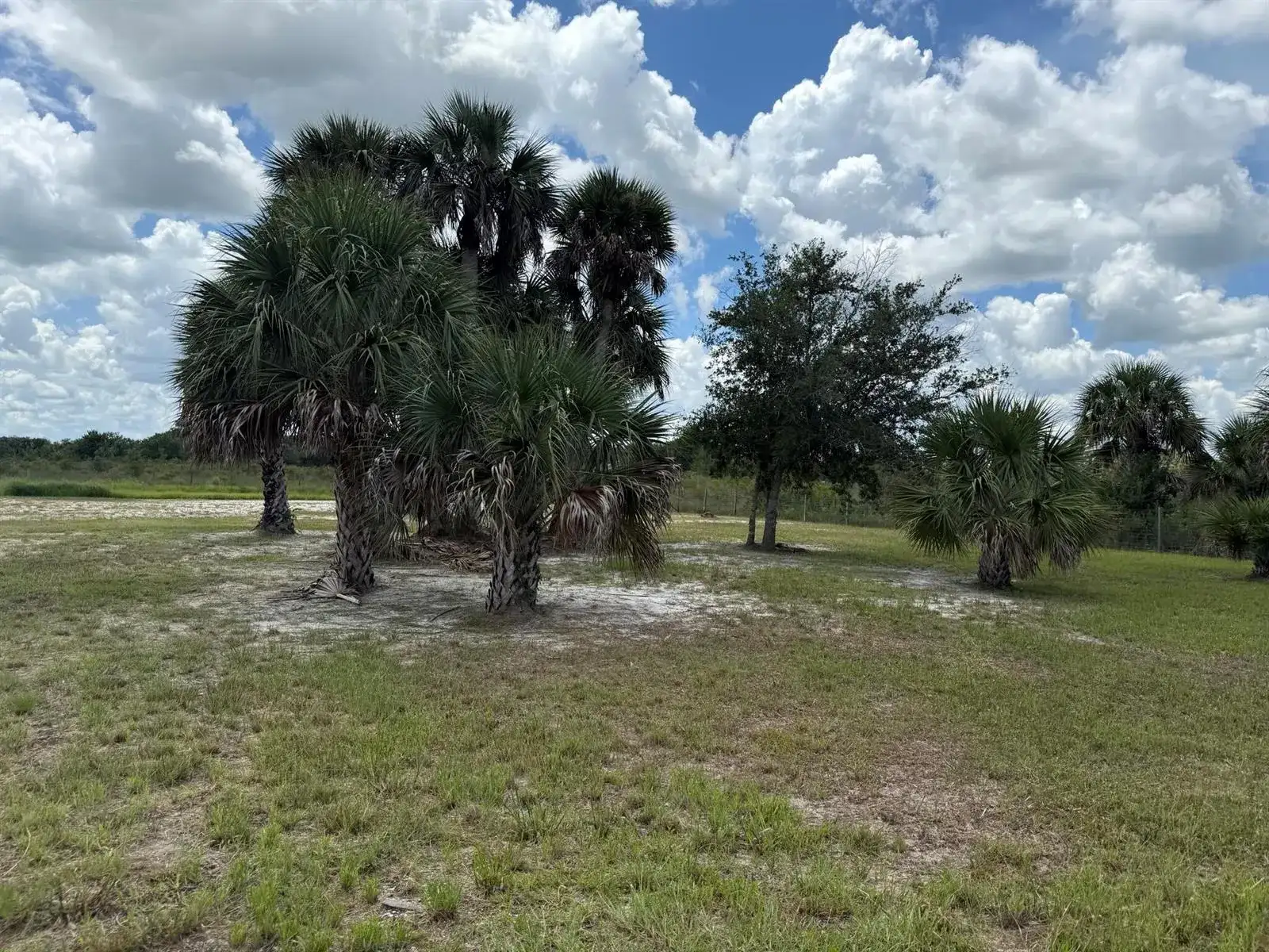 19374 NW 302nd Street, Okeechobee FL 34972 photo 2