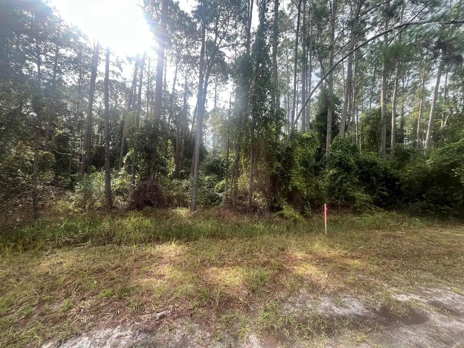223 SE 2nd Street, FL 32139 photo 2