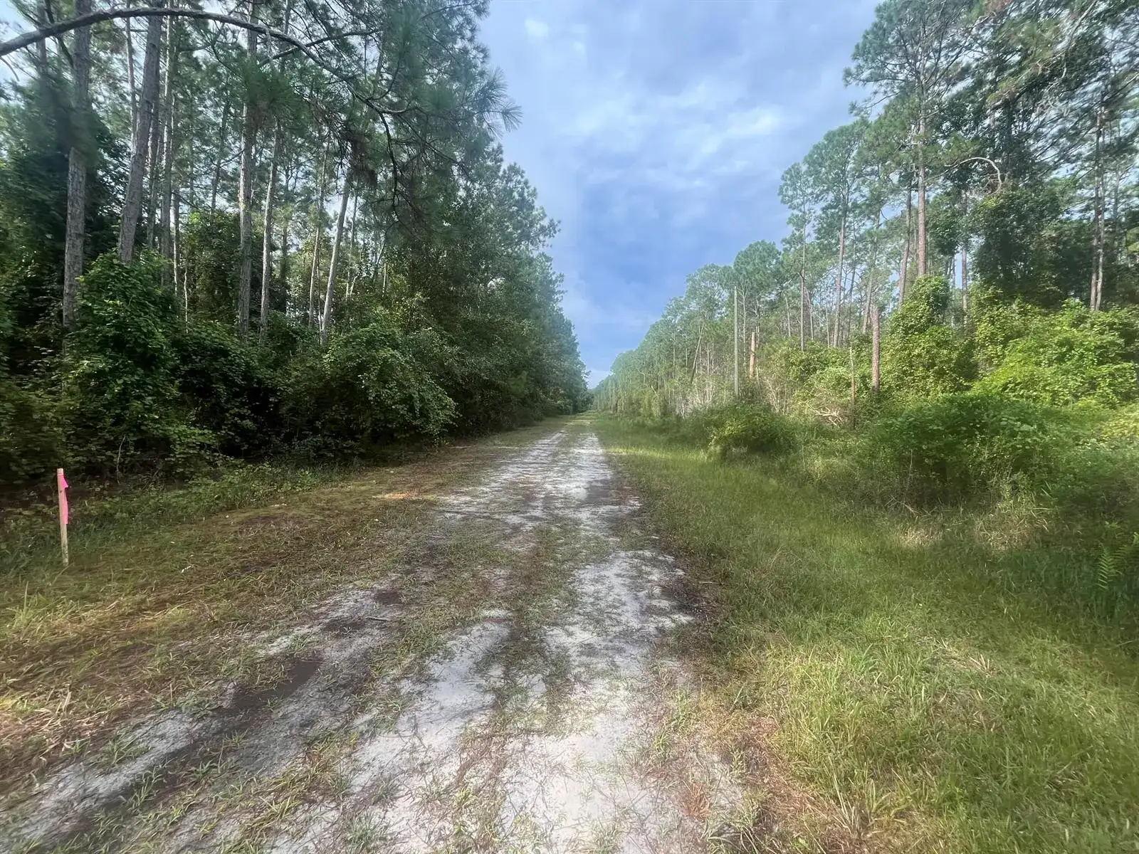 223 SE 2nd Street, FL 32139 photo 3