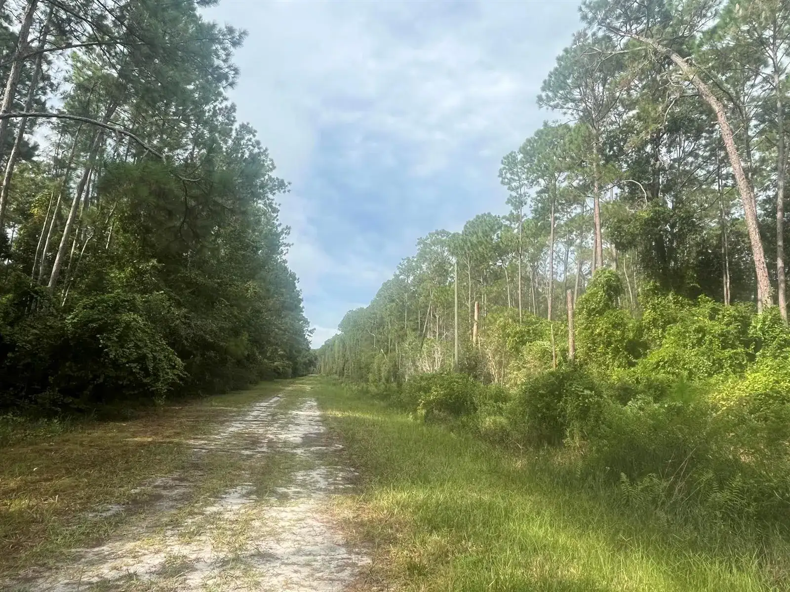 223 SE 2nd Street, FL 32139 photo 4