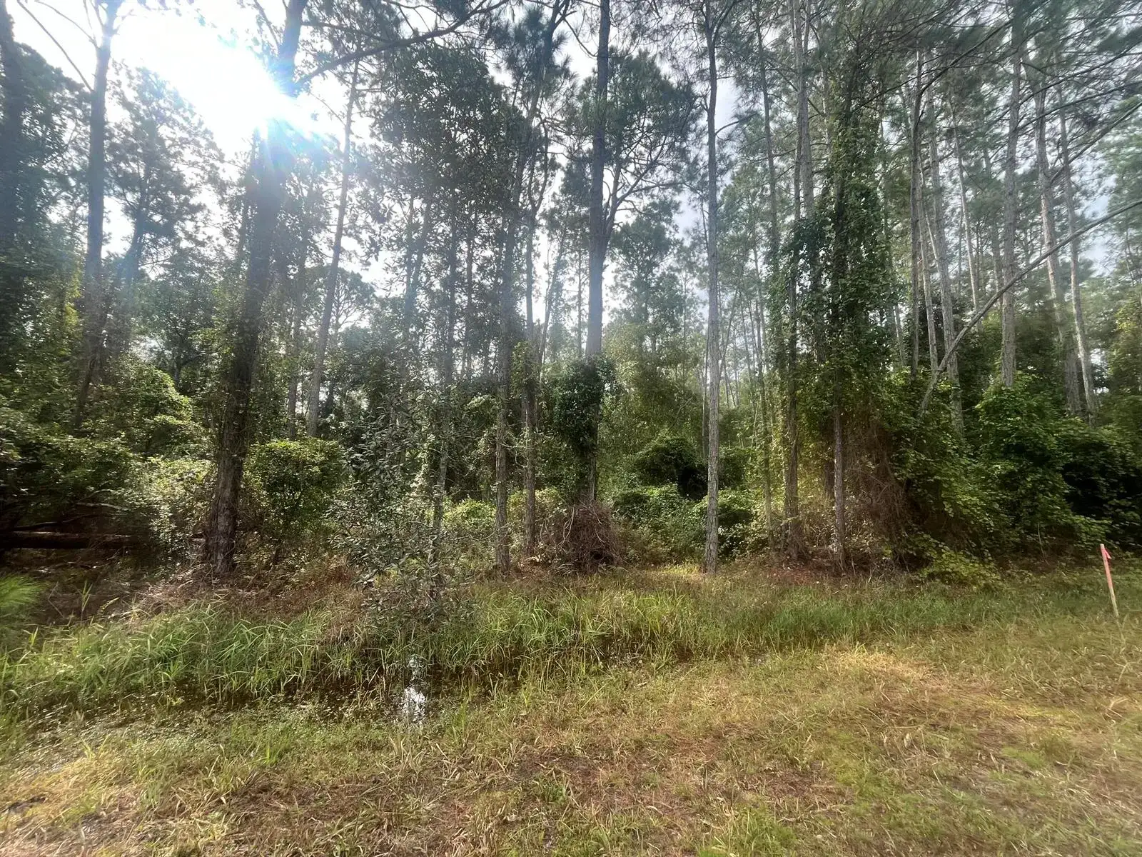 223 SE 2nd Street, FL 32139 photo 5