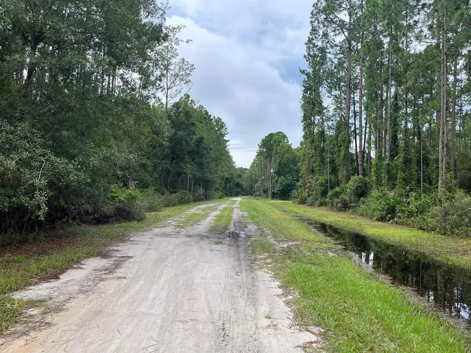 117 Mosswood Street, FL 32139 photo 2