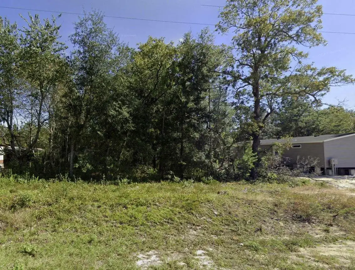 Tbd Dawn Avenue, FL 32148 photo 3