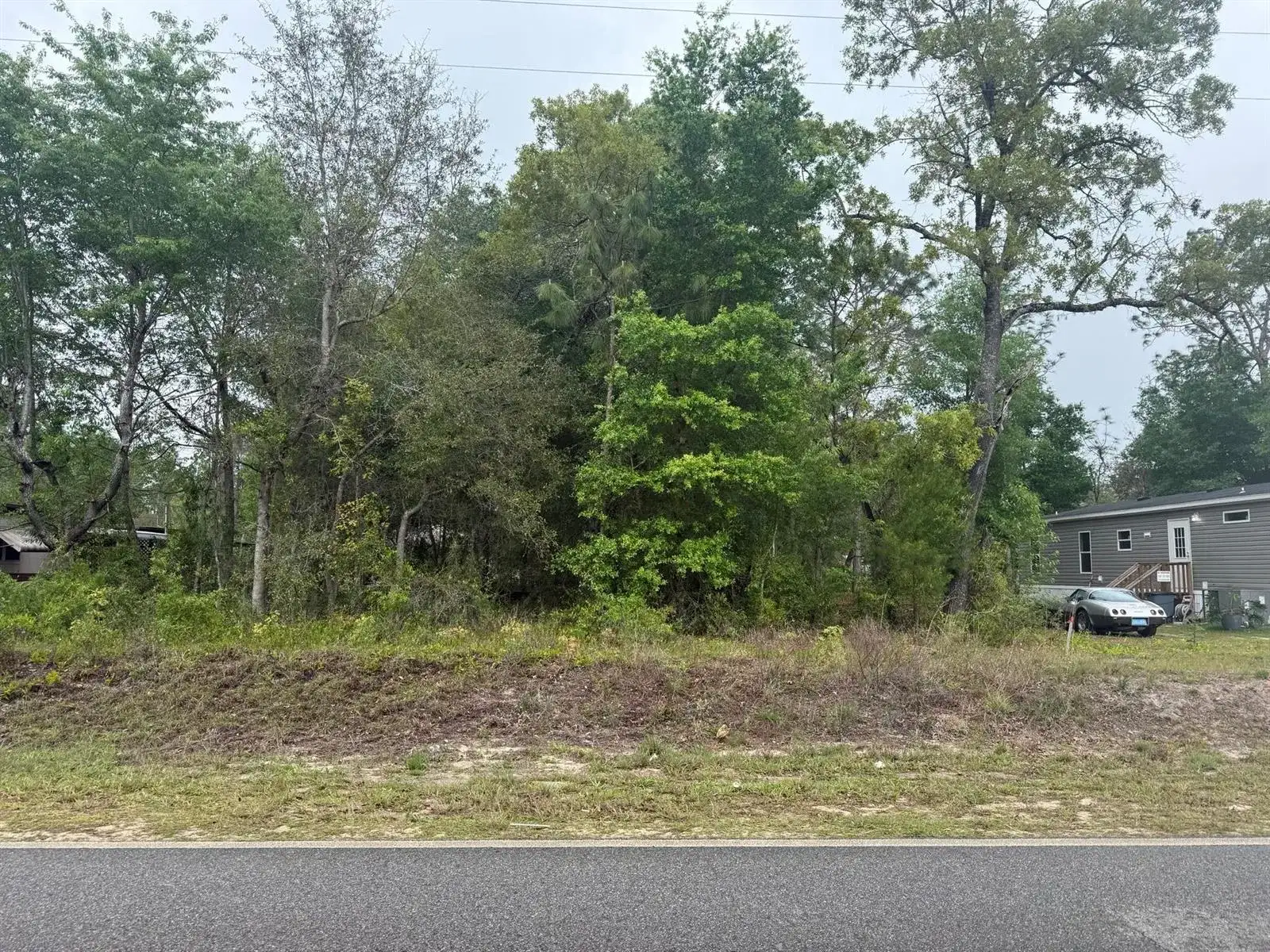 Tbd Dawn Avenue, FL 32148 photo 5
