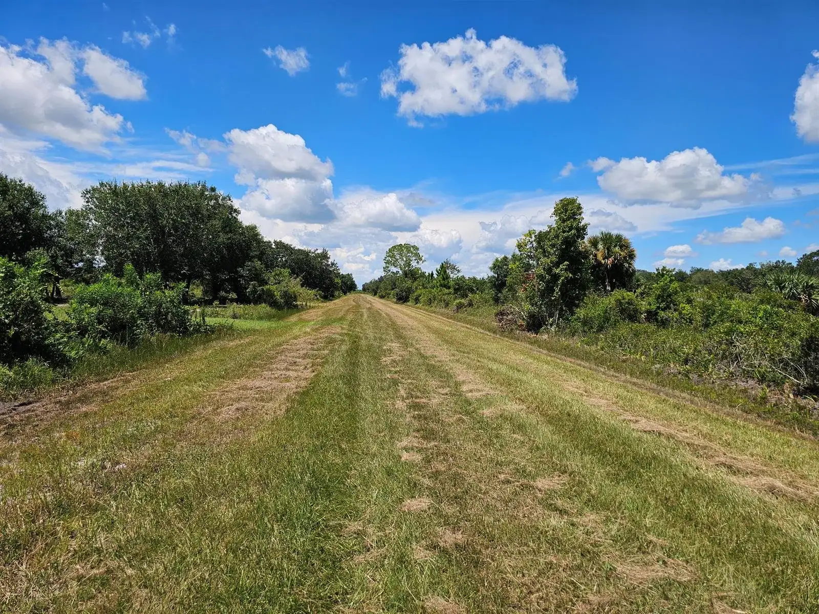 16431 NW 270th Street, Okeechobee FL 34972 photo 4