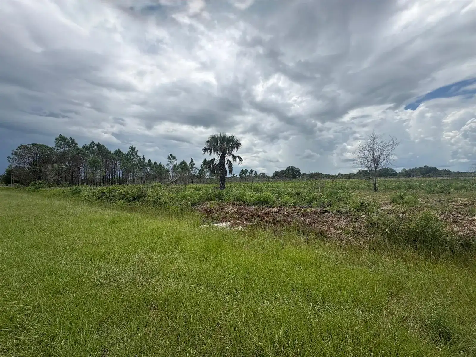17982 NW 318th Street, Okeechobee FL 34972 photo 2