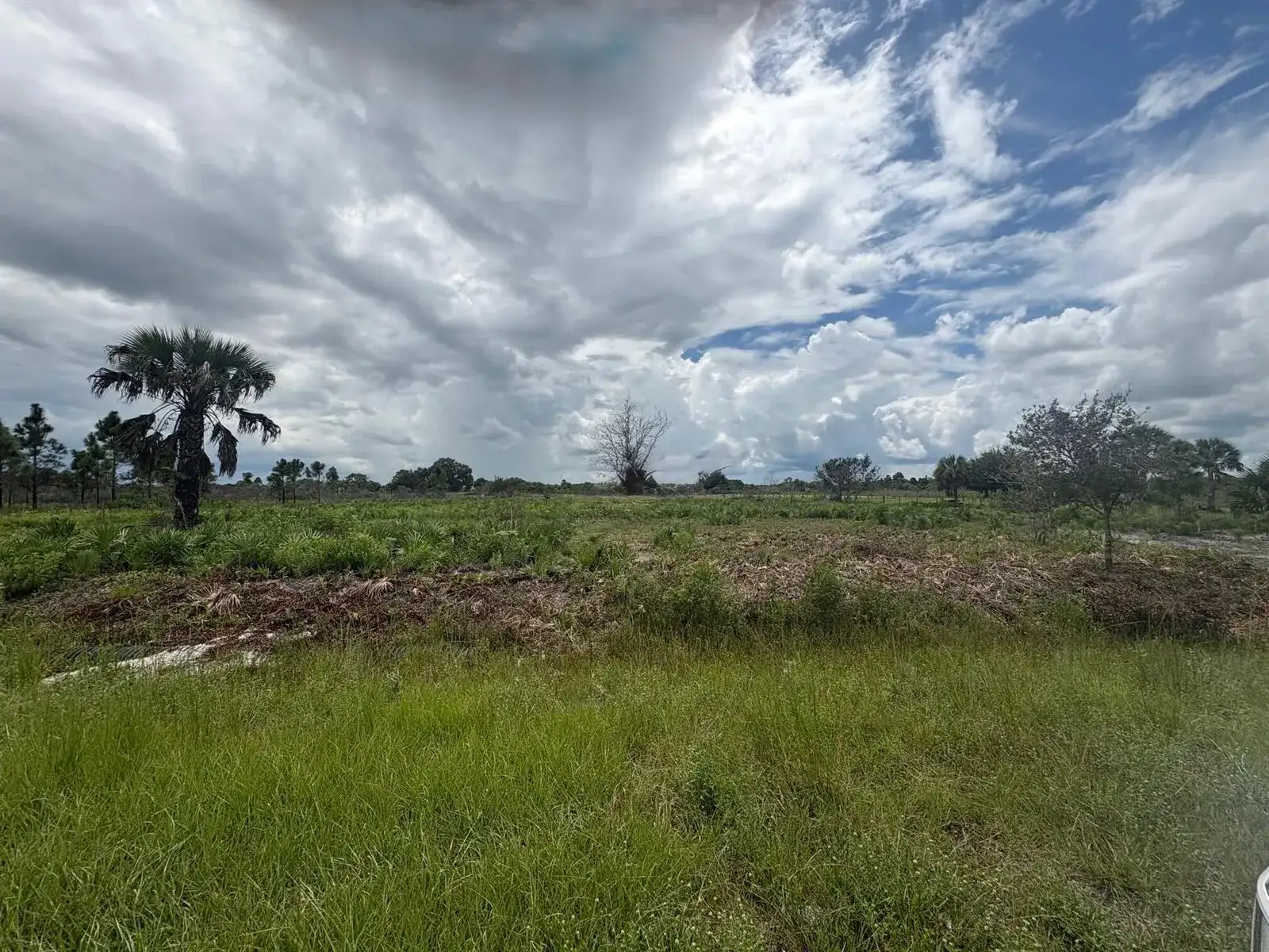 17982 NW 318th Street, Okeechobee FL 34972 photo 3