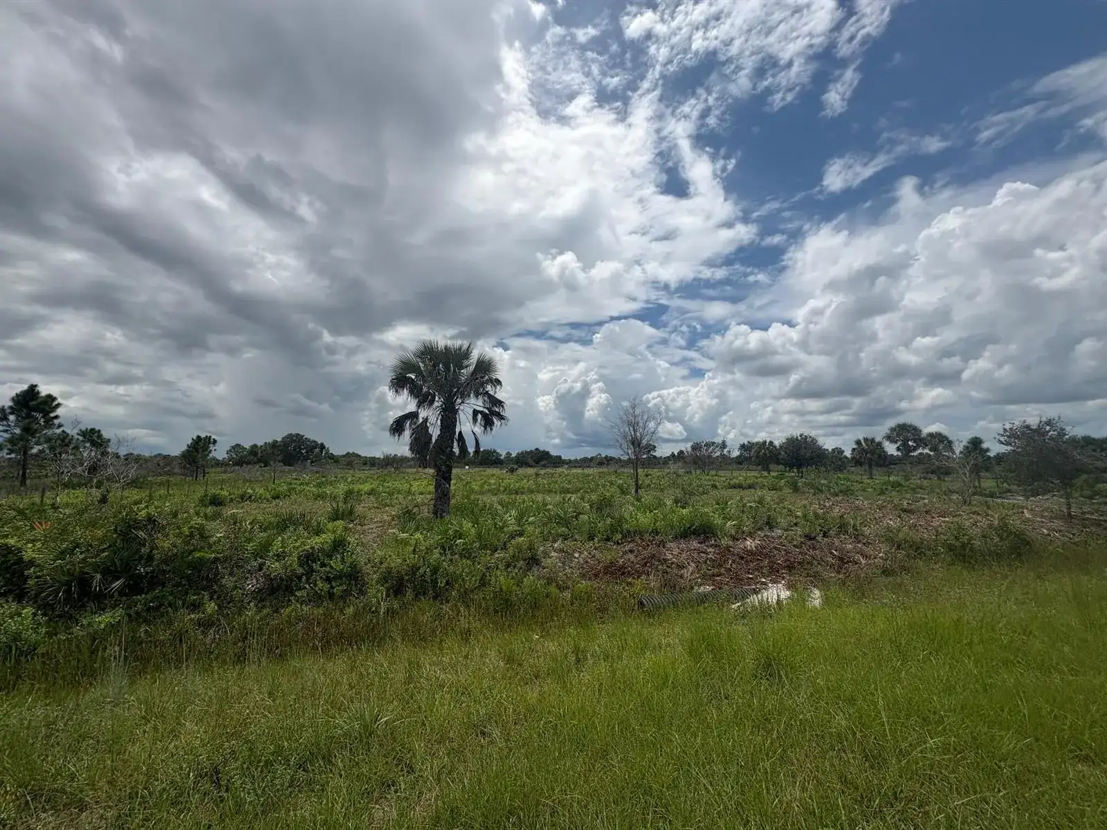 17982 NW 318th Street, Okeechobee FL 34972 photo 5