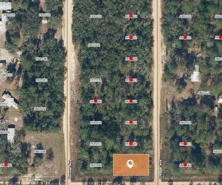 000 Creager Avenue, FL 32148 photo 2