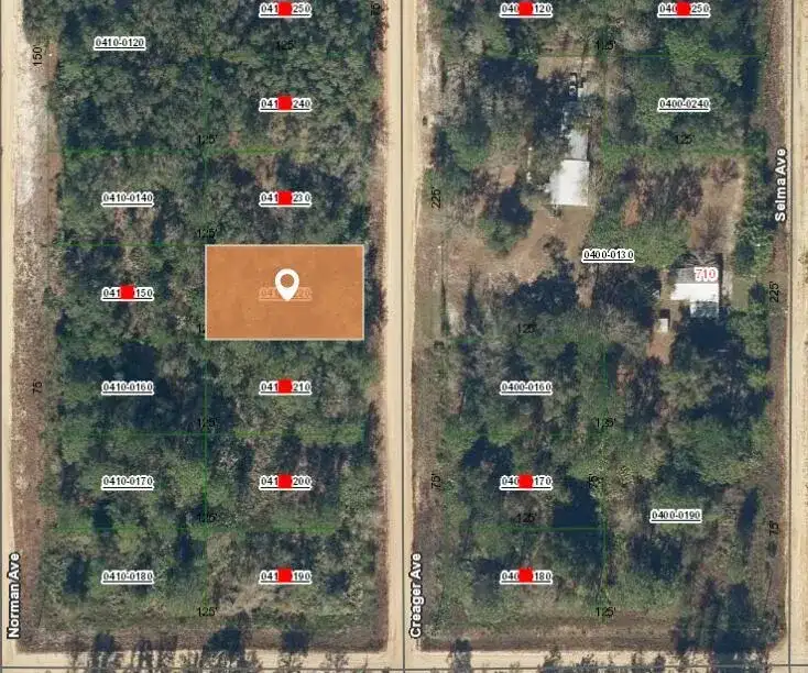 003 Creager Avenue, FL 32148 photo 2