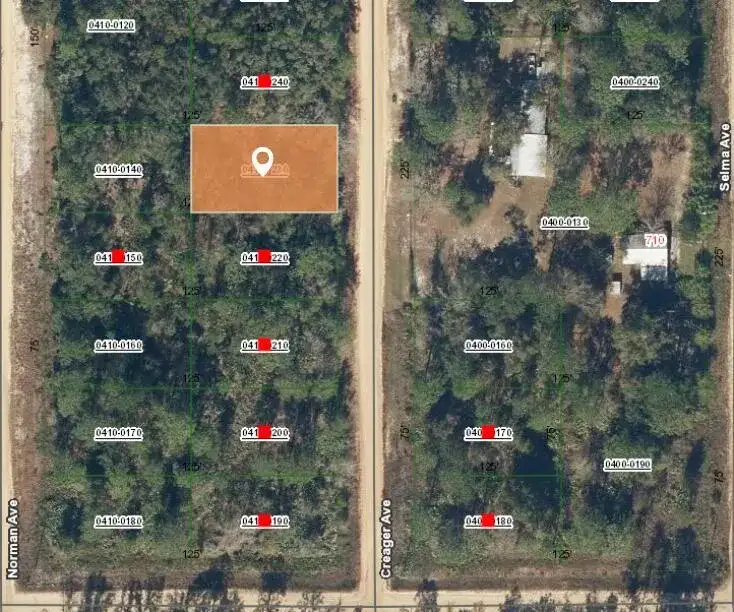 004 Creager Avenue, FL 32148 photo 2