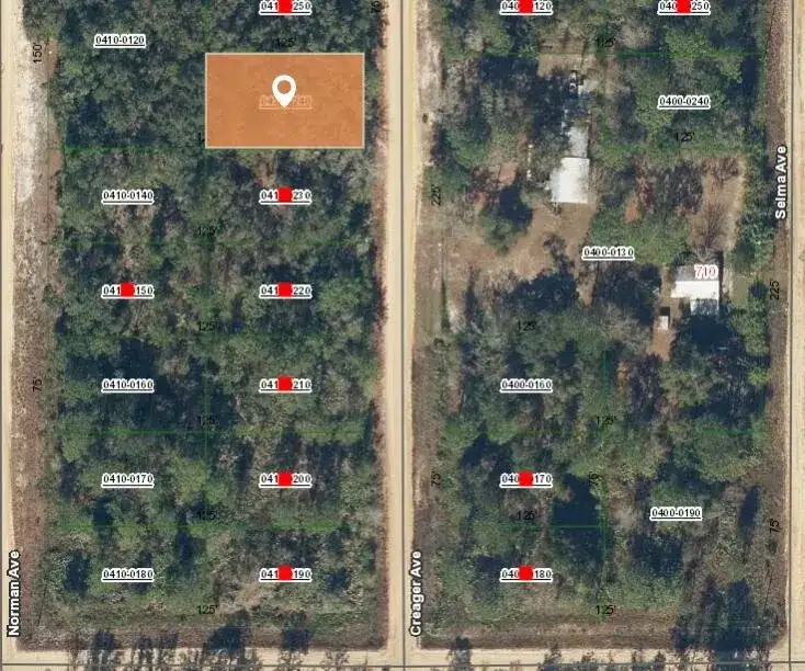 005 Creager Avenue, FL 32148 photo 2
