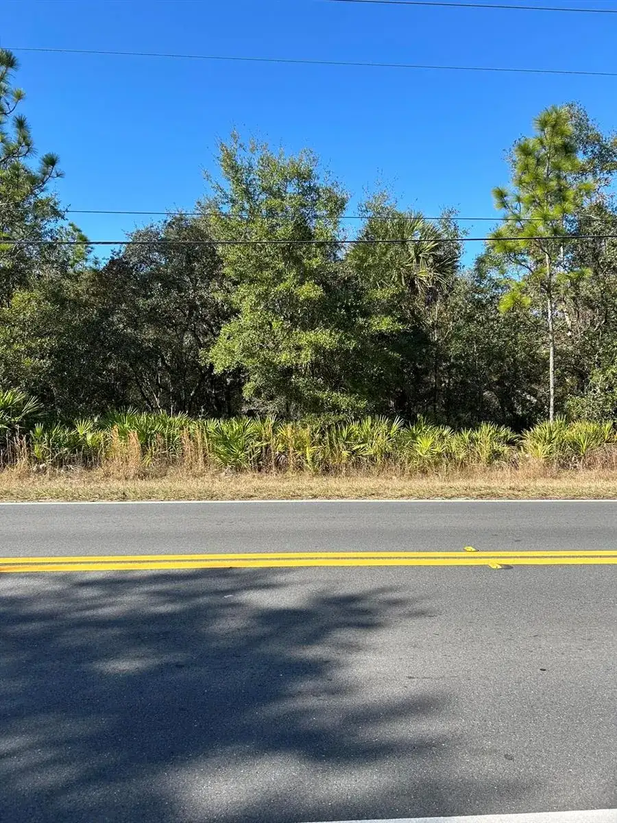 632 N Dunkenfield Avenue, FL 34429 photo 3