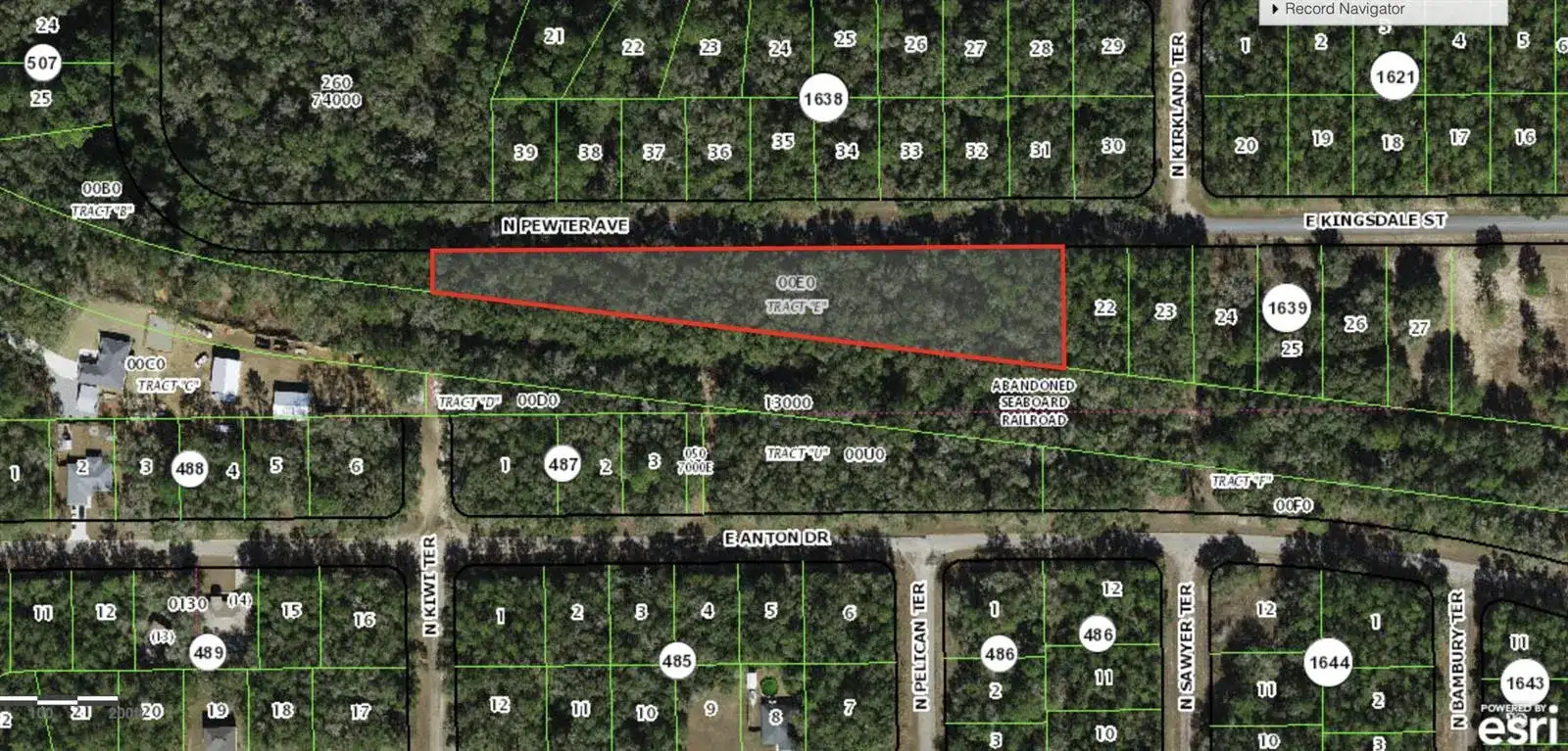 182 E Kingsdale Street, FL 34434 photo 2