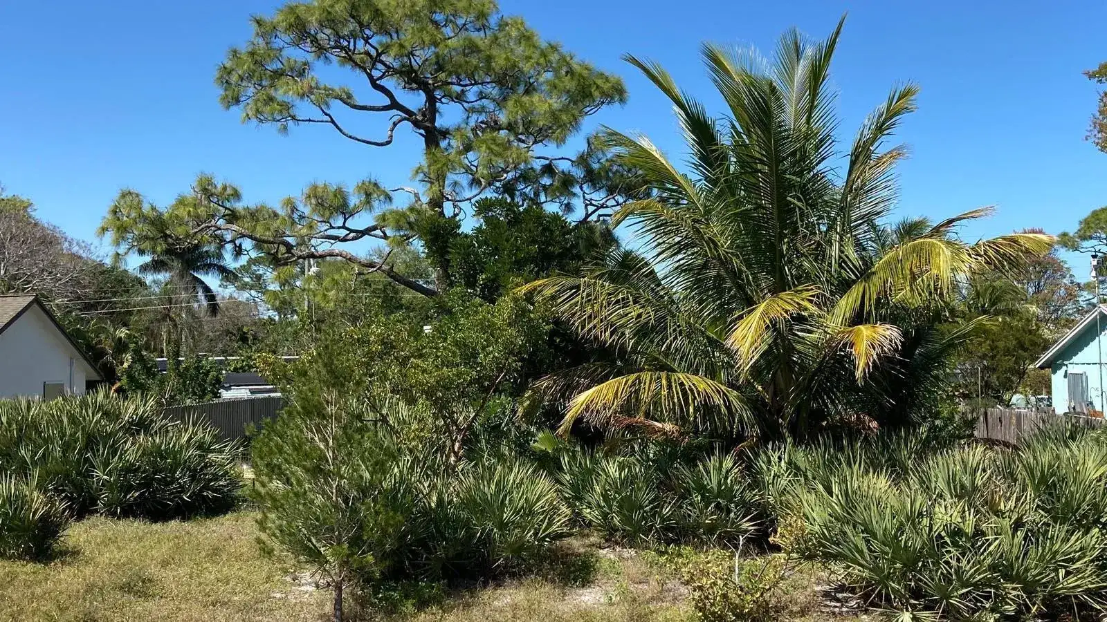6483 SE Sylvan Place, Hobe Sound FL 33455 photo 2