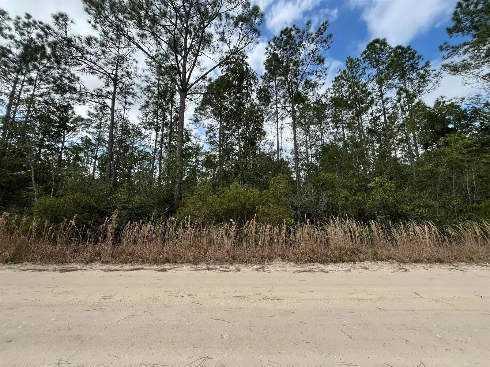 215 Royal Avenue, FL 32148 photo 2