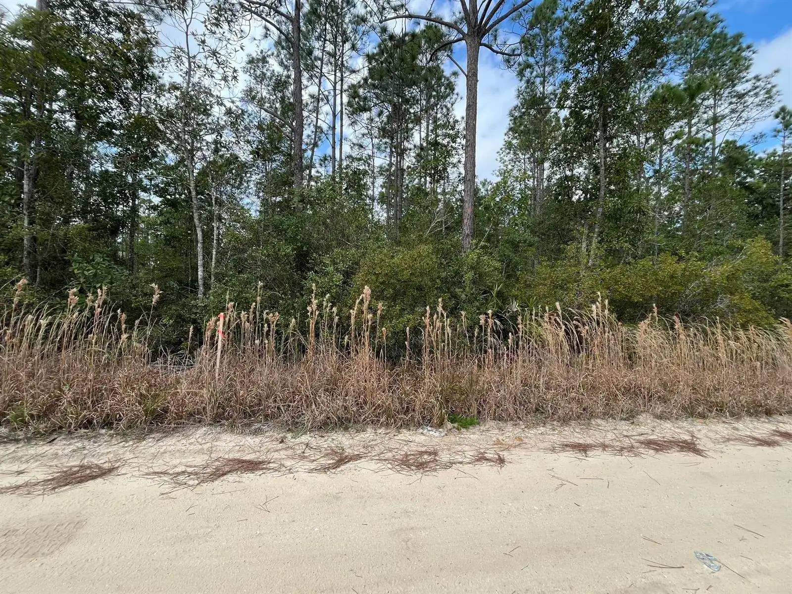 215 Royal Avenue, FL 32148 photo 4