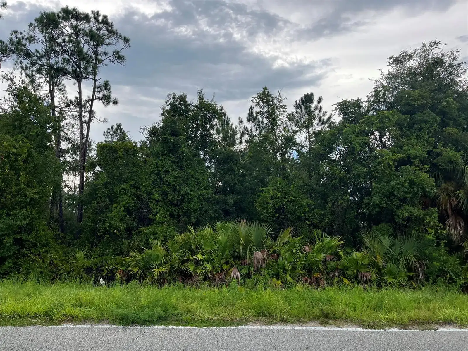 6883 St Johns Avenue, Palatka FL 32177 photo 3