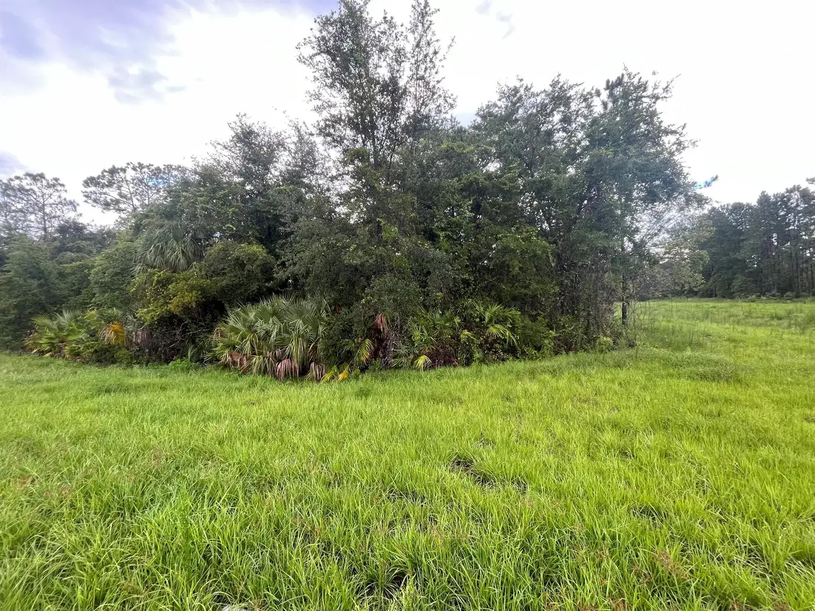 6883 St Johns Avenue, Palatka FL 32177 photo 4