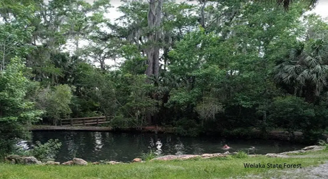 208 Garrison Avenue, FL 32139 photo 3