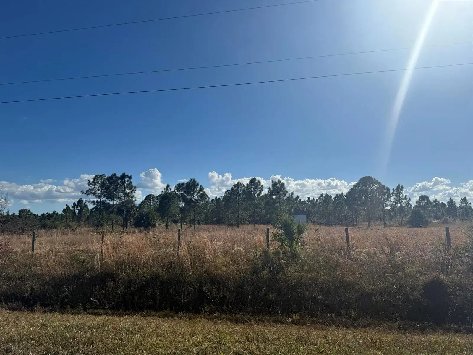 16382 NW 286th Street, Okeechobee FL 34972 photo 4