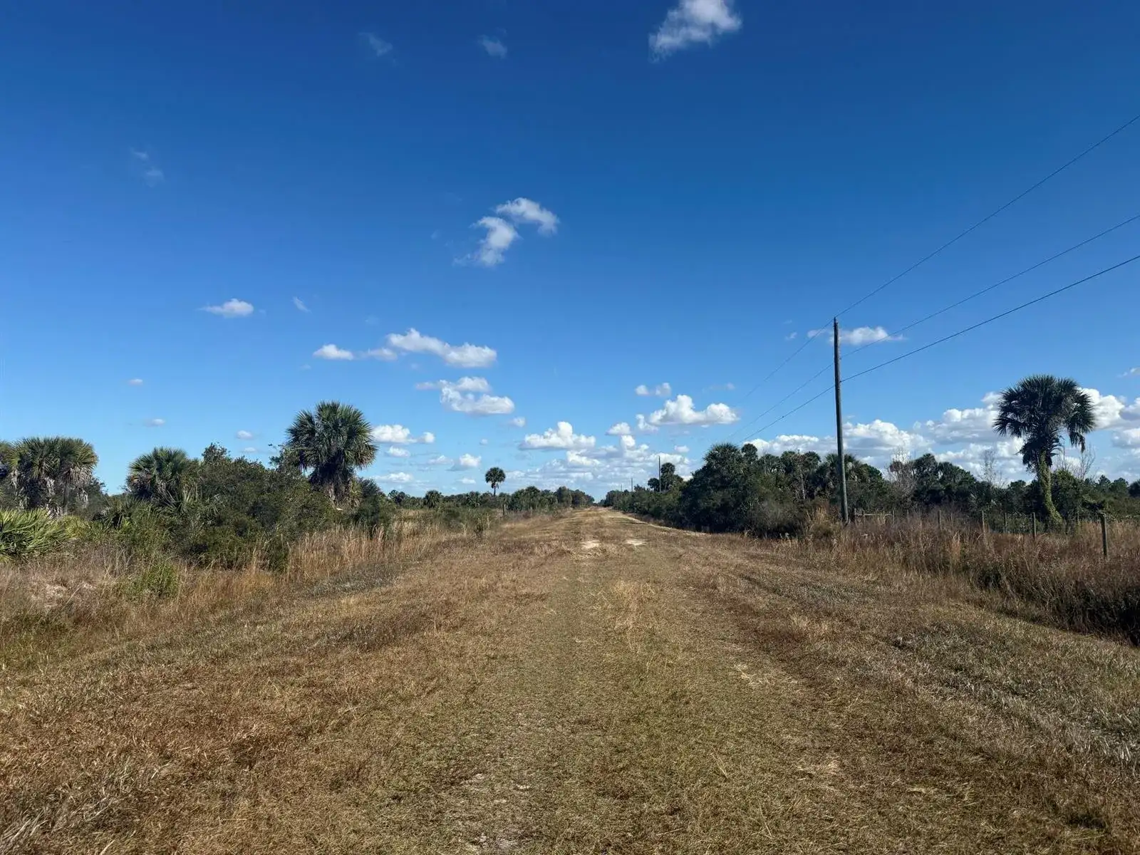 16382 NW 286th Street, Okeechobee FL 34972 photo 5