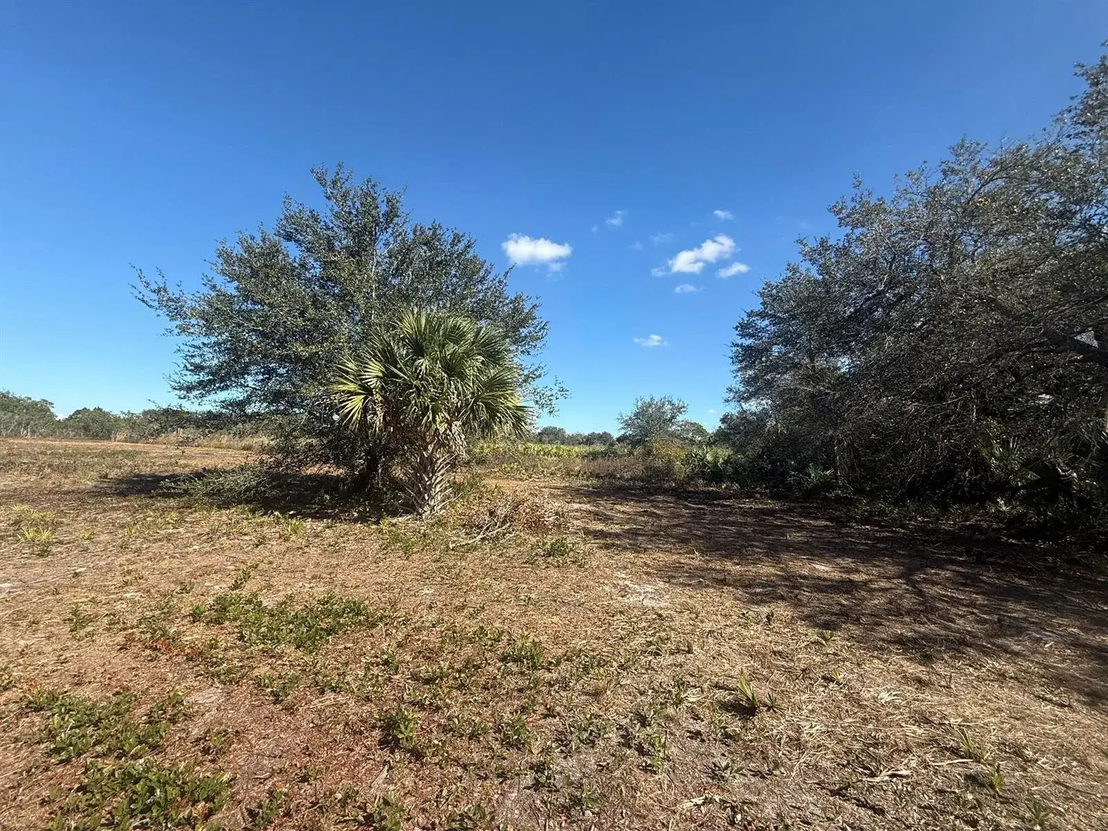 17065 NW 306th Street, Okeechobee FL 34972 photo 2