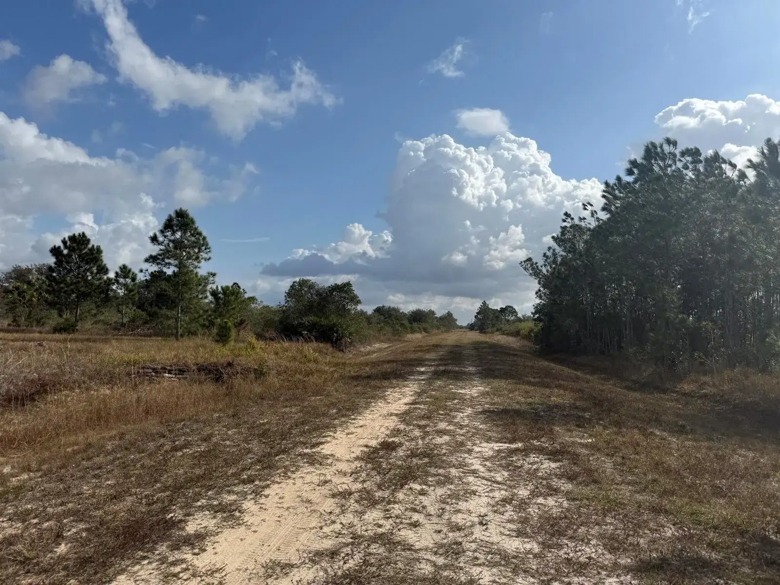 16375 NW 314th Street, Okeechobee FL 34972 photo 2