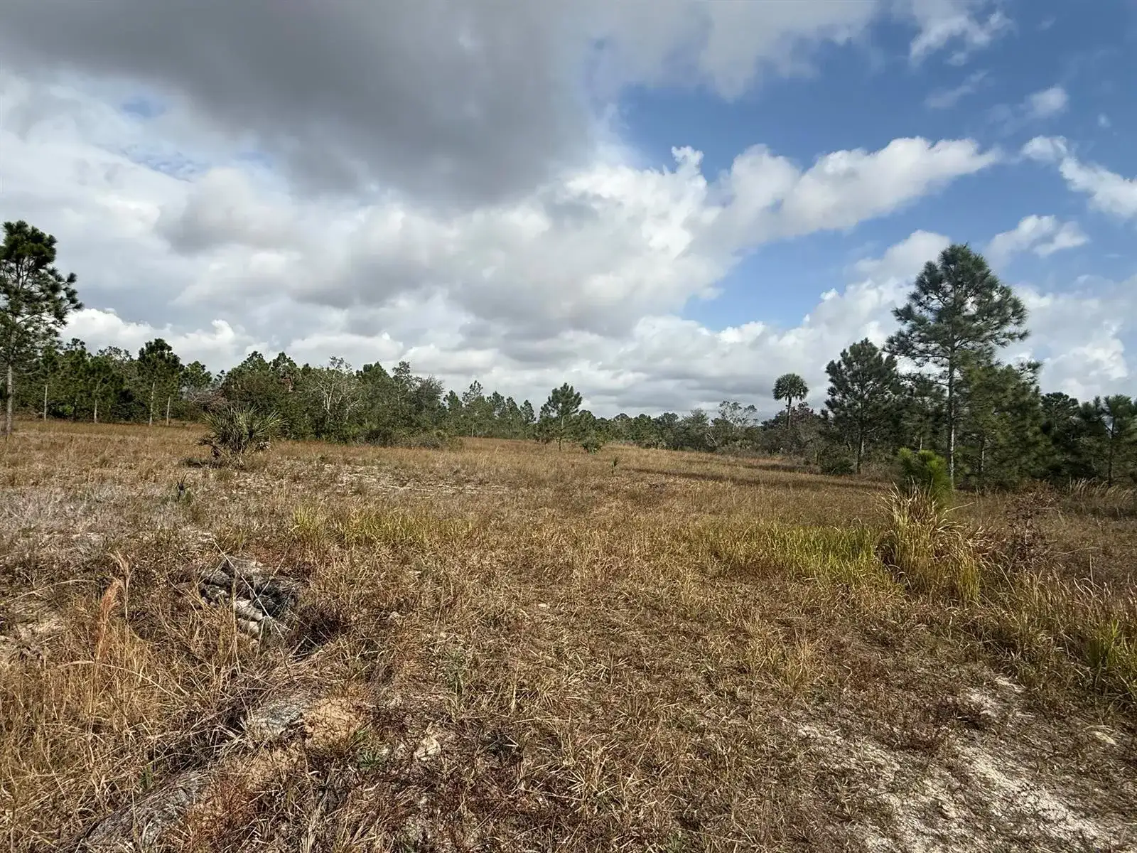 16375 NW 314th Street, Okeechobee FL 34972 photo 3