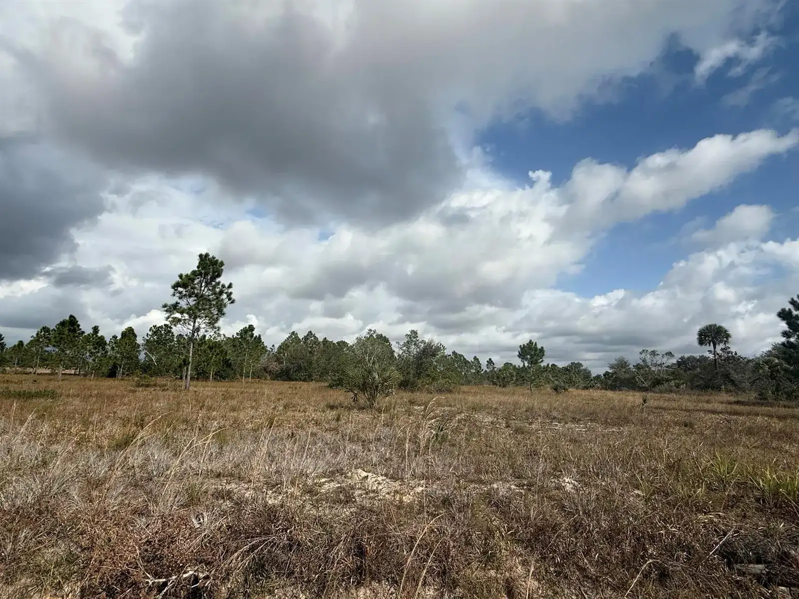 16375 NW 314th Street, Okeechobee FL 34972 photo 4