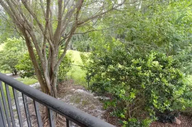 1561 Windorah Way # F, West Palm Beach FL 33411 photo 5