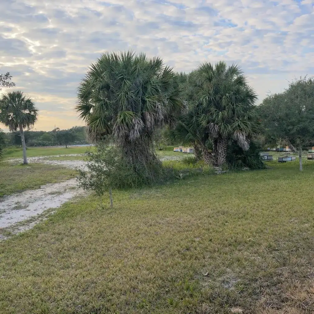 6440 Highway 1, Grant Valkaria FL 32949 photo 2