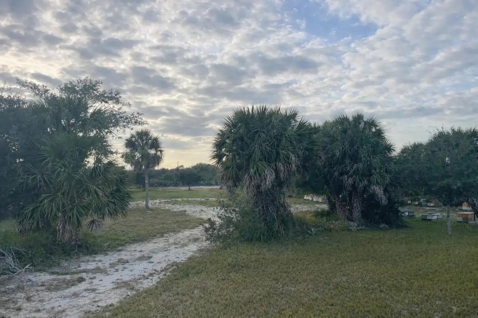 6440 Highway 1, Grant Valkaria FL 32949 photo 3