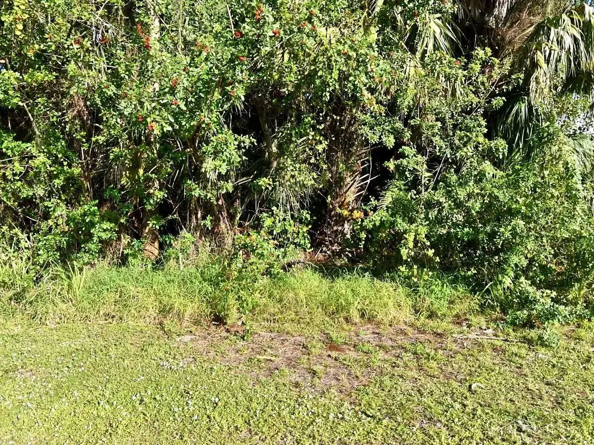 Xxx N 45th Street, Fort Pierce FL 34946 photo 4
