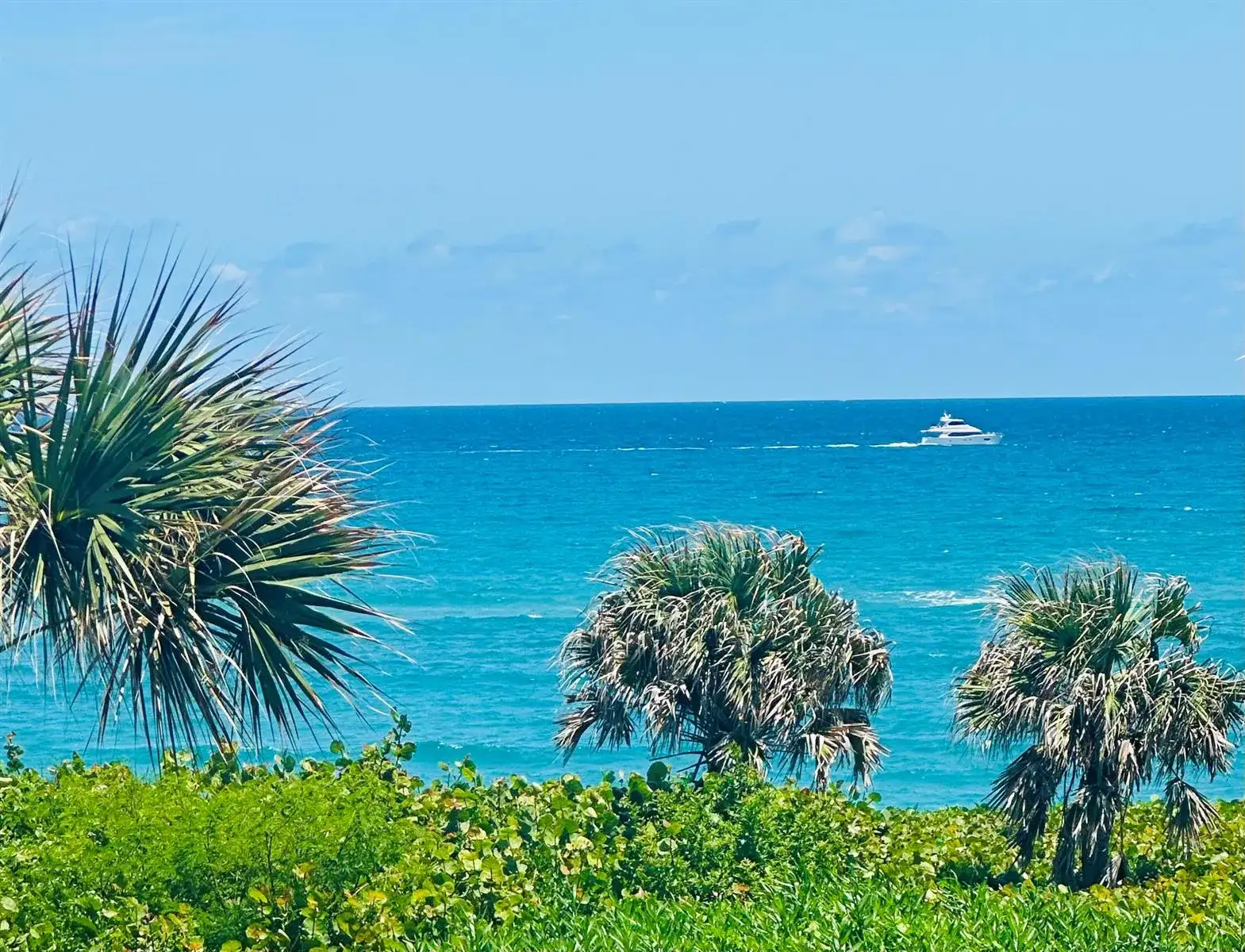 420 Celestial Way # 303, Juno Beach FL 33408 photo 3