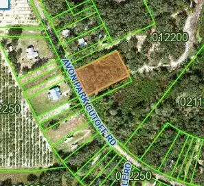 Avon Park Cutoff Road, Frostproof FL 33843 photo 4
