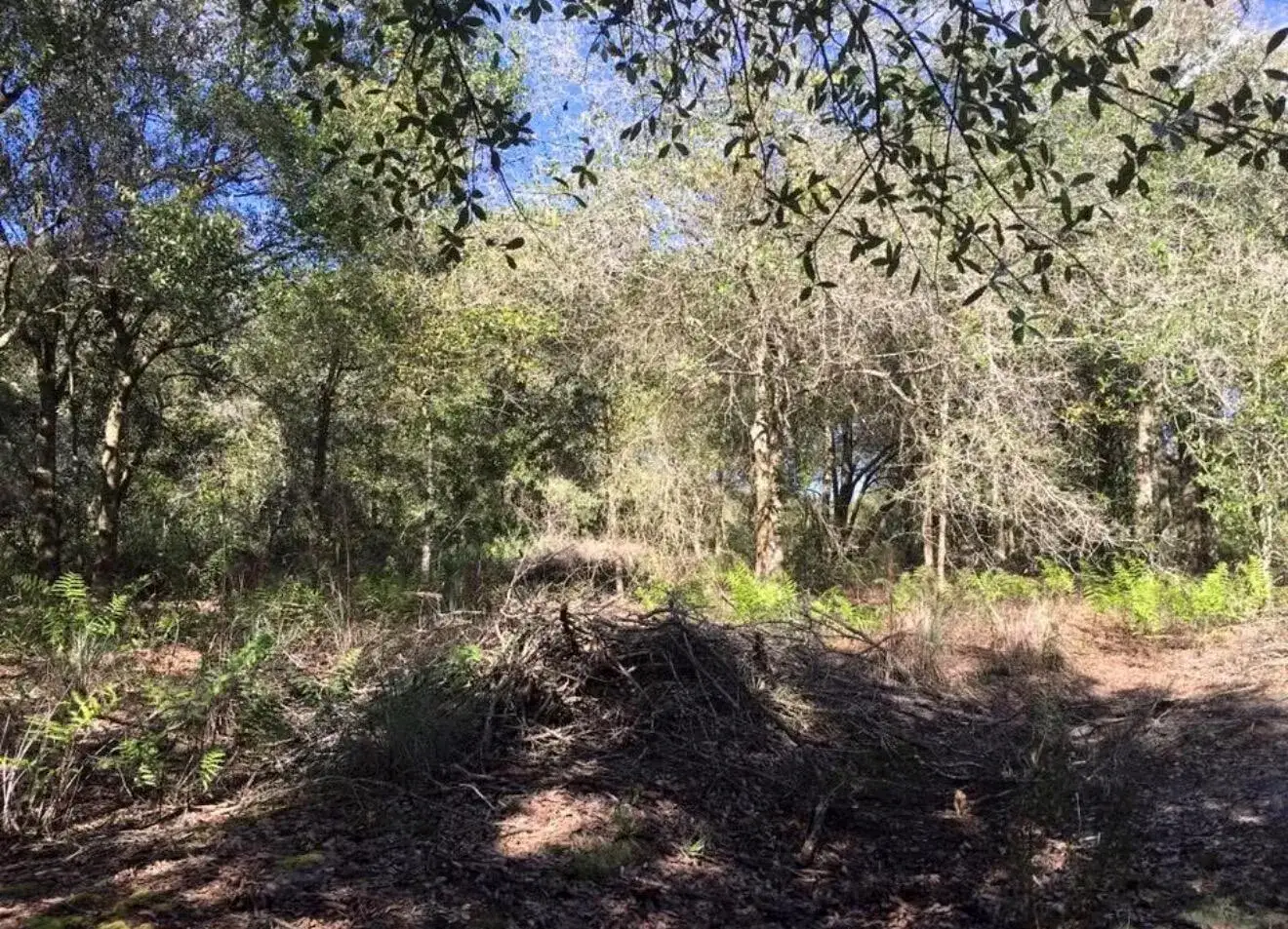 17444 NW 286th Street, Okeechobee FL 34972 photo 4