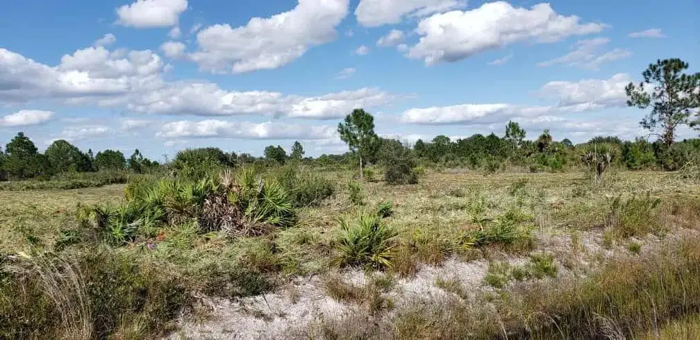 16963 NW 292nd Street, Okeechobee FL 34972 photo 2