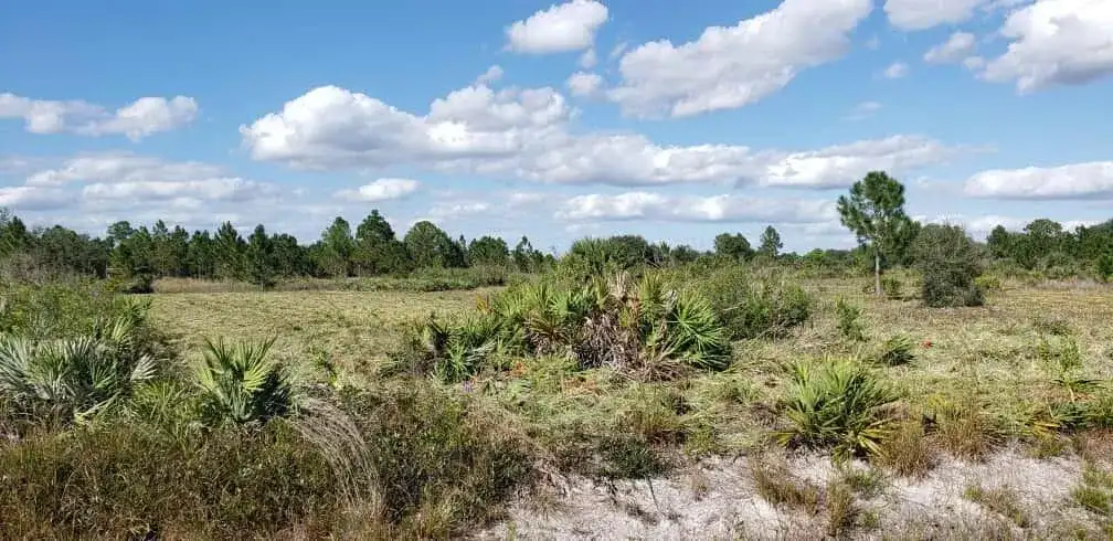 16963 NW 292nd Street, Okeechobee FL 34972 photo 3