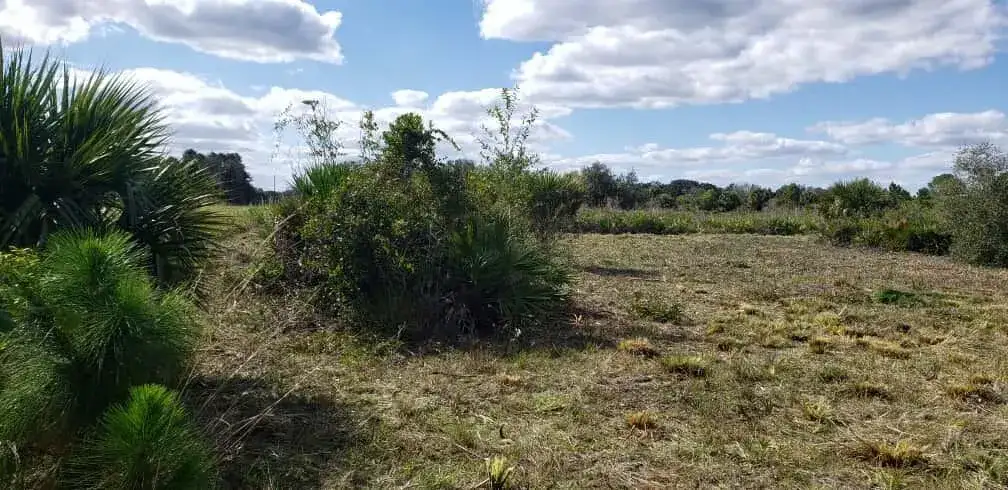 16963 NW 292nd Street, Okeechobee FL 34972 photo 4