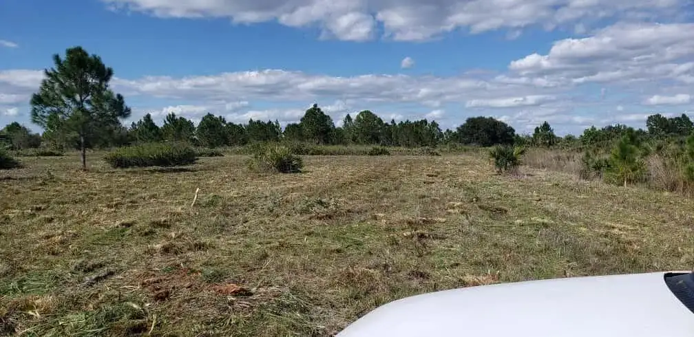 16963 NW 292nd Street, Okeechobee FL 34972 photo 5