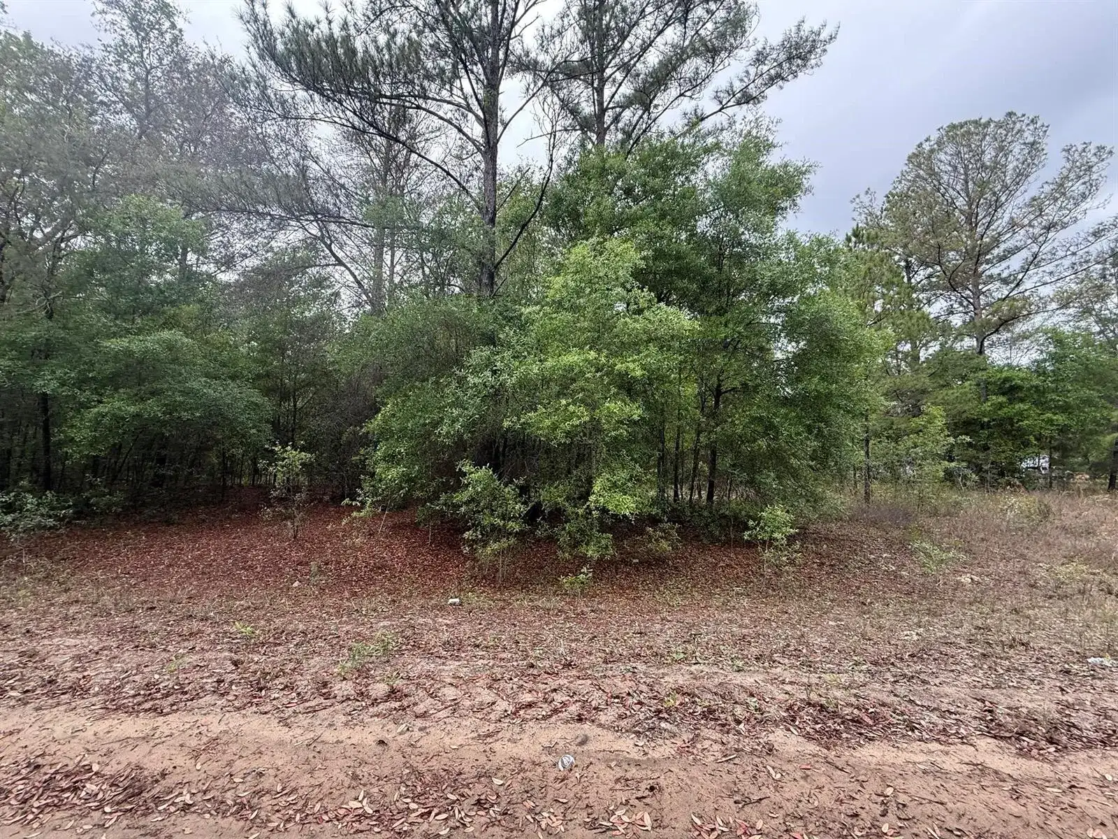 Tbd Maltas Avenue, FL 32148 photo 3