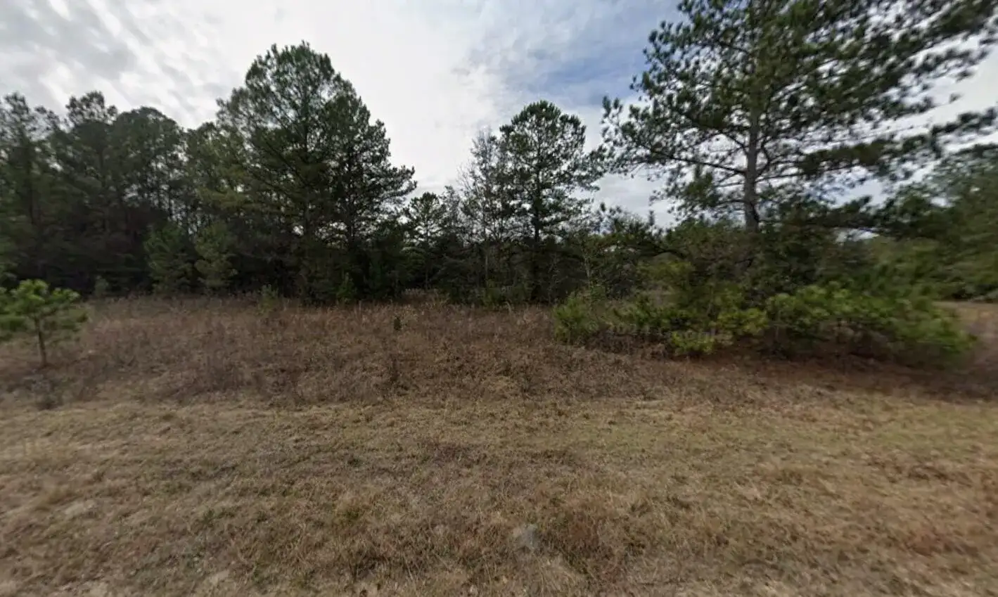 Tbd Maltas Avenue, FL 32148 photo 4