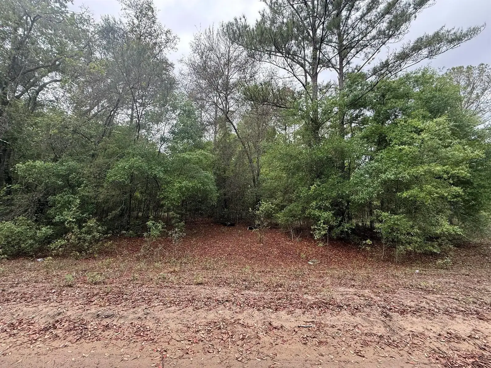 Tbd Maltas Avenue, FL 32148 photo 5