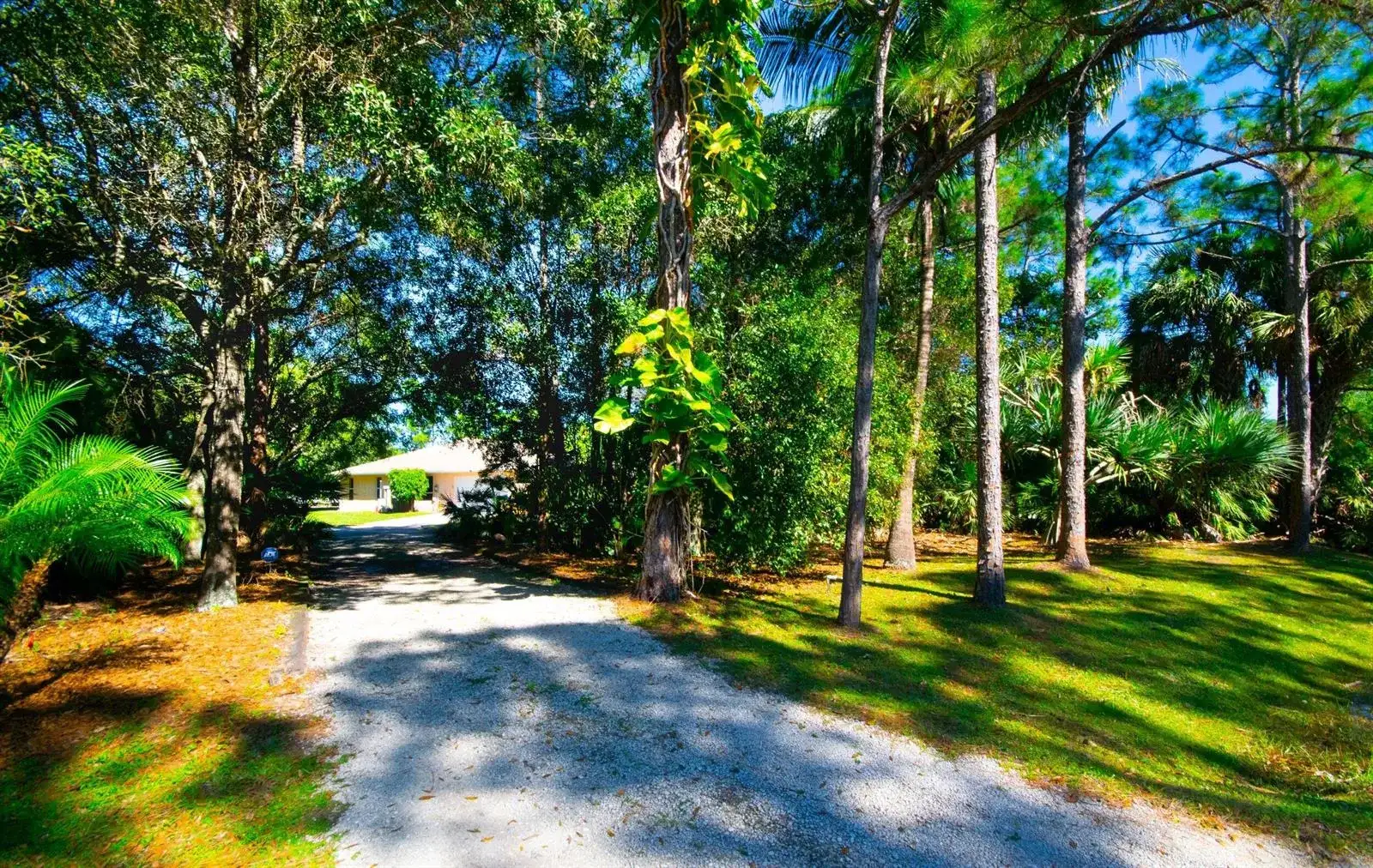 12523 169th Court N, Jupiter FL 33478 photo 5